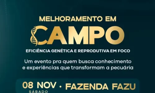 Melhoramento-em-campo.opti