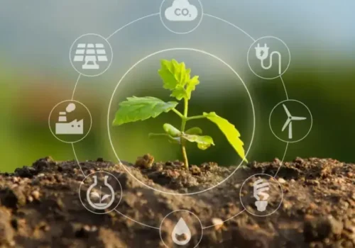 curso agricultura regenerativa.opti